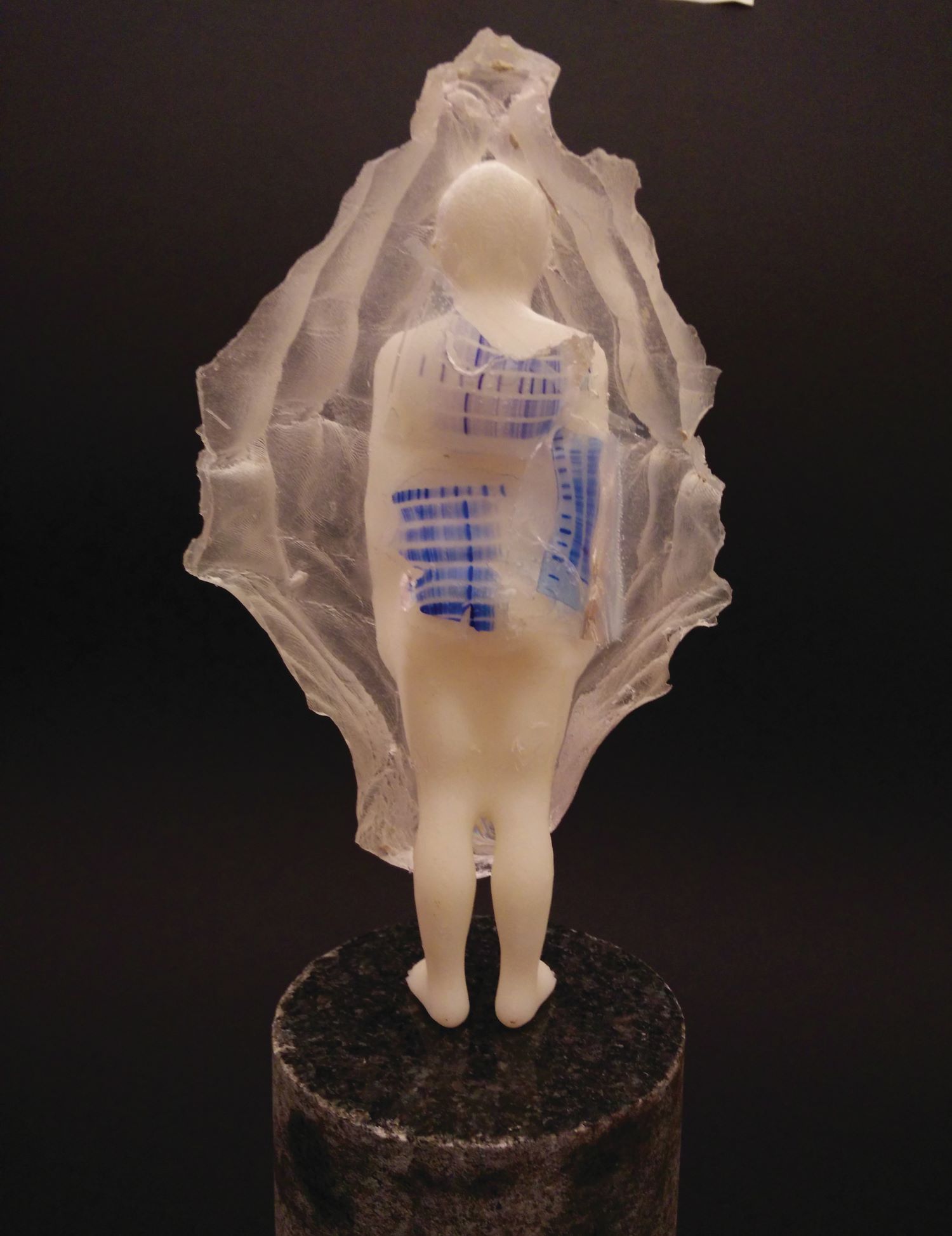 trudna_proročica_gel_za_elektroforezu_3Dprint_2013 (1)