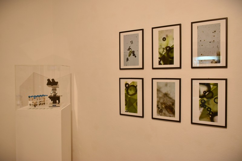 postav izložbe, foto Lea Legac