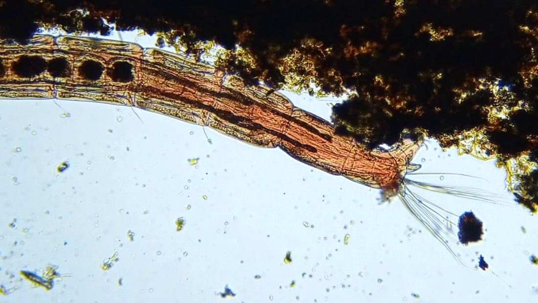 uzorci 8 (1)