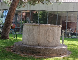 Picture14