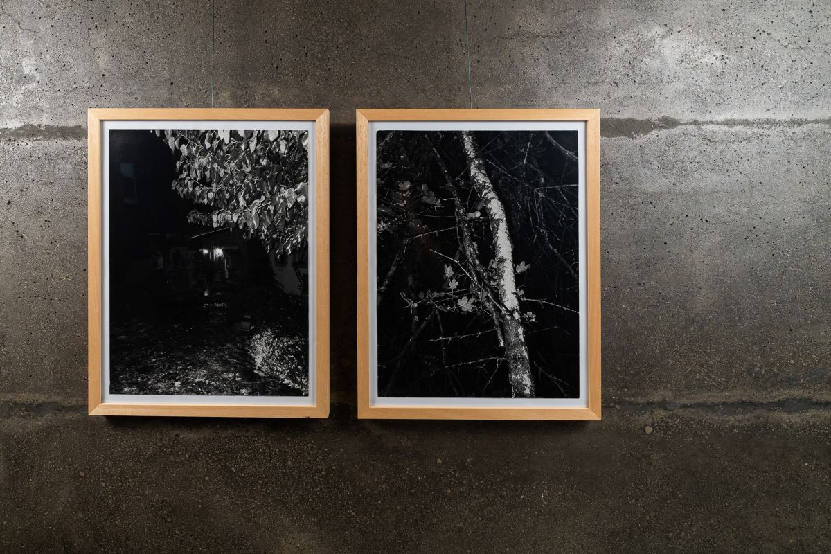 25_Ulrike Lienbacher
