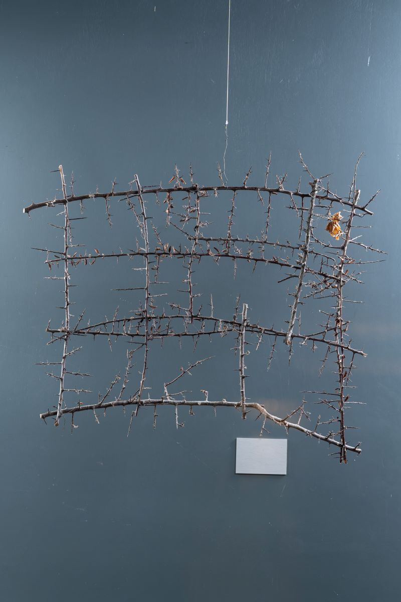 40_Christian Eisenberger