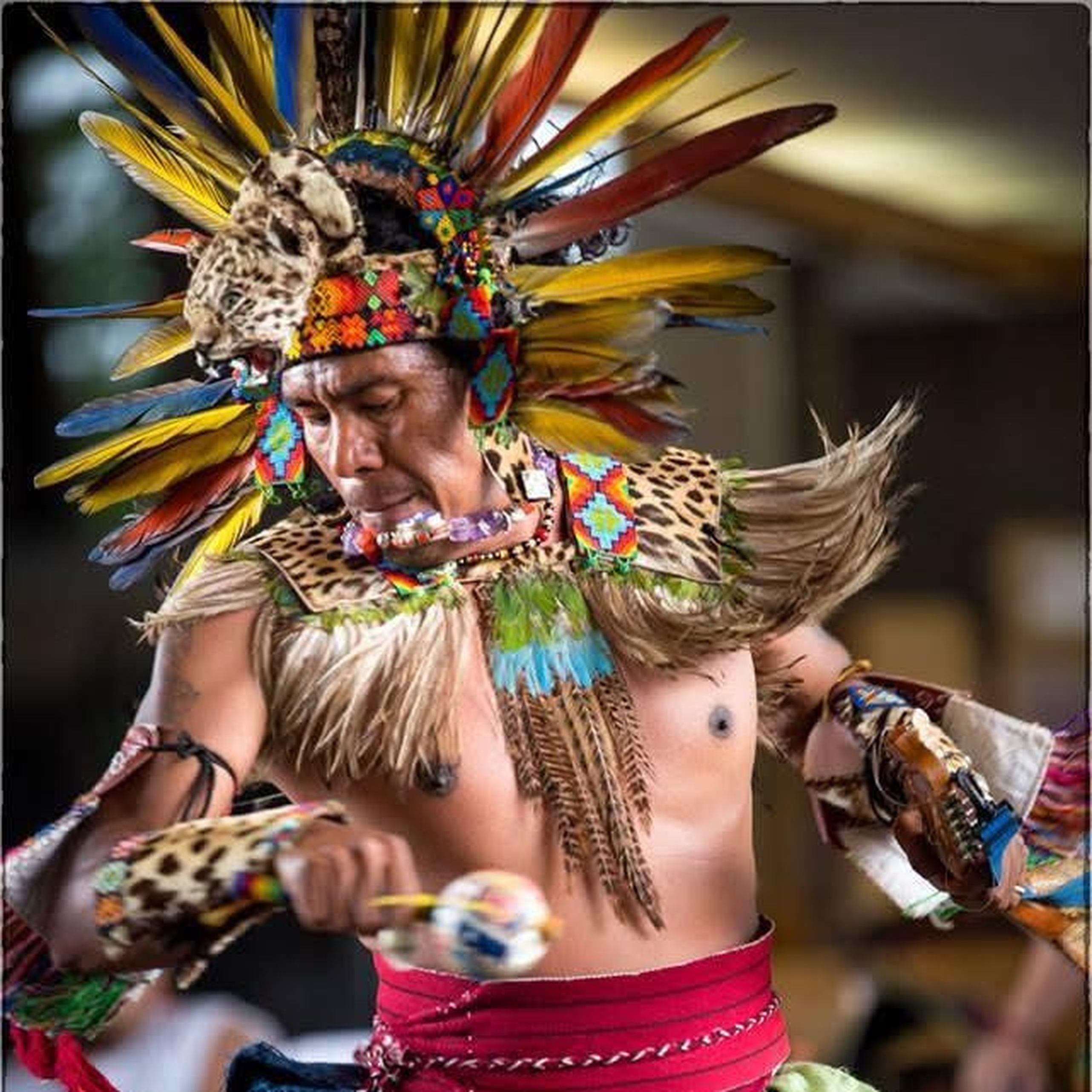 foto-01-danzante-plumas-alta